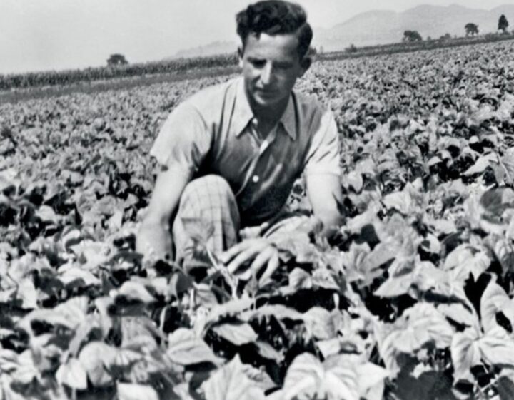1935